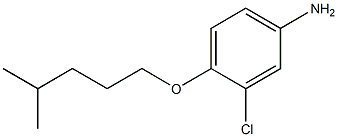 3-chloro-4-[(4-methylpentyl)oxy]aniline