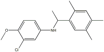 3-chloro-4-methoxy-N-[1-(2,4,5-trimethylphenyl)ethyl]aniline Structure