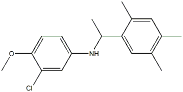 3-chloro-4-methoxy-N-[1-(2,4,5-trimethylphenyl)ethyl]aniline 结构式