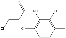 3-chloro-N-(2,6-dichloro-3-methylphenyl)propanamide 结构式