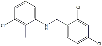 3-chloro-N-[(2,4-dichlorophenyl)methyl]-2-methylaniline Structure