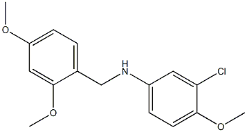 3-chloro-N-[(2,4-dimethoxyphenyl)methyl]-4-methoxyaniline