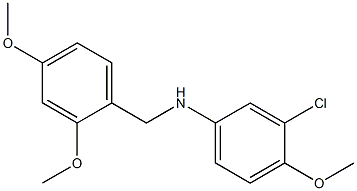 3-chloro-N-[(2,4-dimethoxyphenyl)methyl]-4-methoxyaniline|