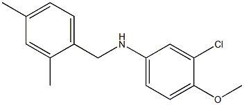 3-chloro-N-[(2,4-dimethylphenyl)methyl]-4-methoxyaniline Struktur