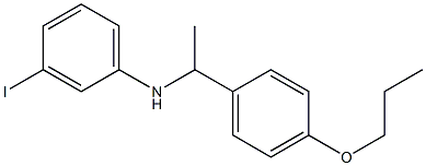 3-iodo-N-[1-(4-propoxyphenyl)ethyl]aniline Structure