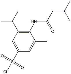 3-methyl-4-(3-methylbutanamido)-5-(propan-2-yl)benzene-1-sulfonyl chloride Structure