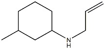 3-methyl-N-(prop-2-en-1-yl)cyclohexan-1-amine|