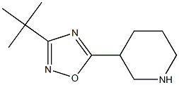 3-tert-butyl-5-(piperidin-3-yl)-1,2,4-oxadiazole,,结构式