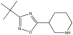 3-tert-butyl-5-(piperidin-3-yl)-1,2,4-oxadiazole 化学構造式