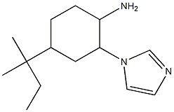 4-(1,1-dimethylpropyl)-2-(1H-imidazol-1-yl)cyclohexanamine|