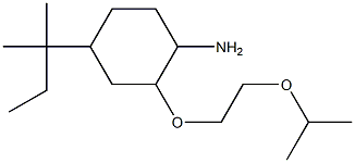 4-(2-methylbutan-2-yl)-2-[2-(propan-2-yloxy)ethoxy]cyclohexan-1-amine