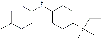 4-(2-methylbutan-2-yl)-N-(5-methylhexan-2-yl)cyclohexan-1-amine 结构式