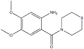  4,5-dimethoxy-2-(thiomorpholin-4-ylcarbonyl)aniline