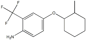 4-[(2-methylcyclohexyl)oxy]-2-(trifluoromethyl)aniline Structure