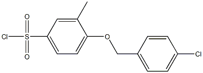 4-[(4-chlorophenyl)methoxy]-3-methylbenzene-1-sulfonyl chloride,,结构式