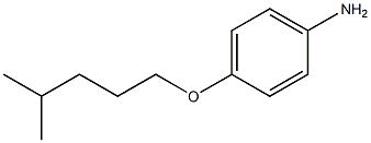 4-[(4-methylpentyl)oxy]aniline,,结构式