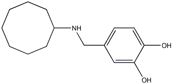 4-[(cyclooctylamino)methyl]benzene-1,2-diol Struktur
