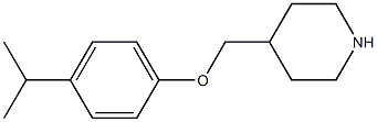 4-[4-(propan-2-yl)phenoxymethyl]piperidine 结构式