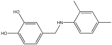 4-{[(2,4-dimethylphenyl)amino]methyl}benzene-1,2-diol