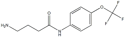 4-amino-N-[4-(trifluoromethoxy)phenyl]butanamide Struktur