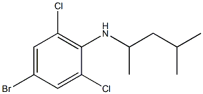 4-bromo-2,6-dichloro-N-(4-methylpentan-2-yl)aniline,,结构式