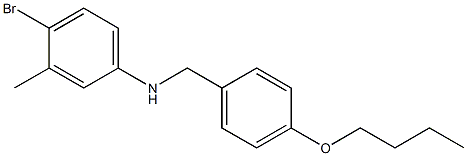 4-bromo-N-[(4-butoxyphenyl)methyl]-3-methylaniline,,结构式