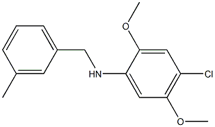  4-chloro-2,5-dimethoxy-N-[(3-methylphenyl)methyl]aniline