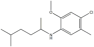 4-chloro-2-methoxy-5-methyl-N-(5-methylhexan-2-yl)aniline