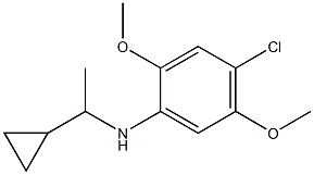 4-chloro-N-(1-cyclopropylethyl)-2,5-dimethoxyaniline Struktur