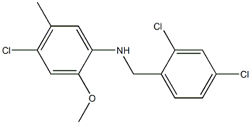 4-chloro-N-[(2,4-dichlorophenyl)methyl]-2-methoxy-5-methylaniline Structure