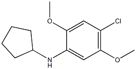 4-chloro-N-cyclopentyl-2,5-dimethoxyaniline,,结构式