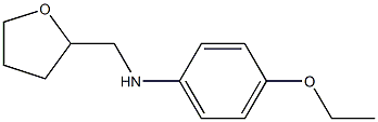 4-ethoxy-N-(oxolan-2-ylmethyl)aniline Structure
