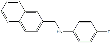 4-fluoro-N-(quinolin-6-ylmethyl)aniline 结构式