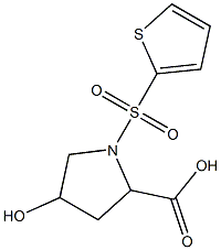 4-hydroxy-1-(thien-2-ylsulfonyl)pyrrolidine-2-carboxylic acid