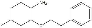 4-methyl-2-(2-phenylethoxy)cyclohexan-1-amine