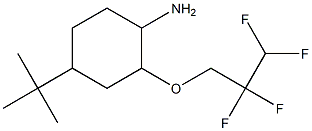 4-tert-butyl-2-(2,2,3,3-tetrafluoropropoxy)cyclohexan-1-amine,,结构式