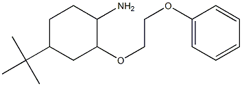 4-tert-butyl-2-(2-phenoxyethoxy)cyclohexan-1-amine Structure