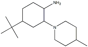 4-tert-butyl-2-(4-methylpiperidin-1-yl)cyclohexan-1-amine,,结构式