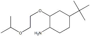 4-tert-butyl-2-[2-(propan-2-yloxy)ethoxy]cyclohexan-1-amine Structure