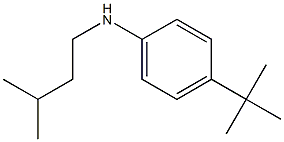 4-tert-butyl-N-(3-methylbutyl)aniline,,结构式