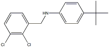  4-tert-butyl-N-[(2,3-dichlorophenyl)methyl]aniline