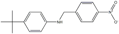 4-tert-butyl-N-[(4-nitrophenyl)methyl]aniline Structure