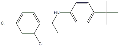 4-tert-butyl-N-[1-(2,4-dichlorophenyl)ethyl]aniline Structure