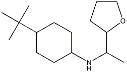 4-tert-butyl-N-[1-(oxolan-2-yl)ethyl]cyclohexan-1-amine,,结构式