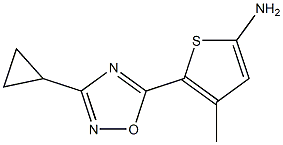 5-(3-cyclopropyl-1,2,4-oxadiazol-5-yl)-4-methylthiophen-2-amine Struktur