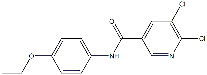 5,6-dichloro-N-(4-ethoxyphenyl)pyridine-3-carboxamide Struktur