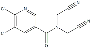 5,6-dichloro-N,N-bis(cyanomethyl)pyridine-3-carboxamide