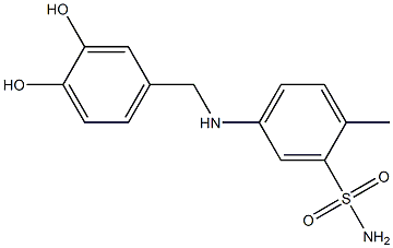 5-{[(3,4-dihydroxyphenyl)methyl]amino}-2-methylbenzene-1-sulfonamide 结构式