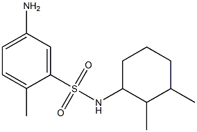 5-amino-N-(2,3-dimethylcyclohexyl)-2-methylbenzene-1-sulfonamide,,结构式