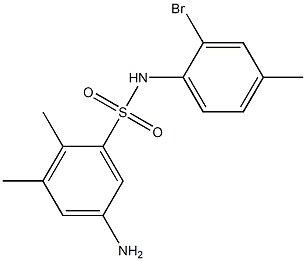 5-amino-N-(2-bromo-4-methylphenyl)-2,3-dimethylbenzene-1-sulfonamide Structure